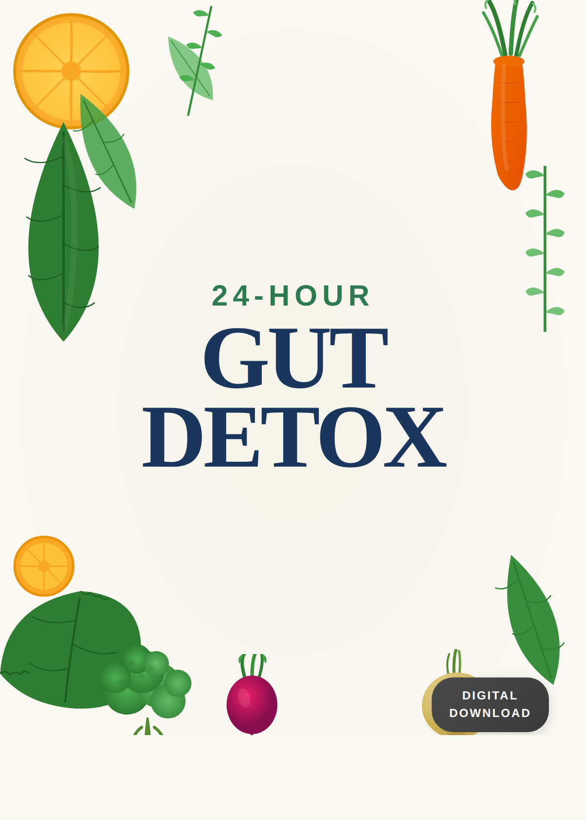 Leanzene bonus 24 hour gut detox digital guide