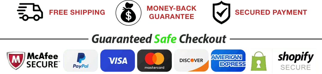 Leanzene secure checkout visa mastercard payment